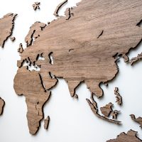 RIEŠUTMEDISmedinis pasaulio žemėlapis